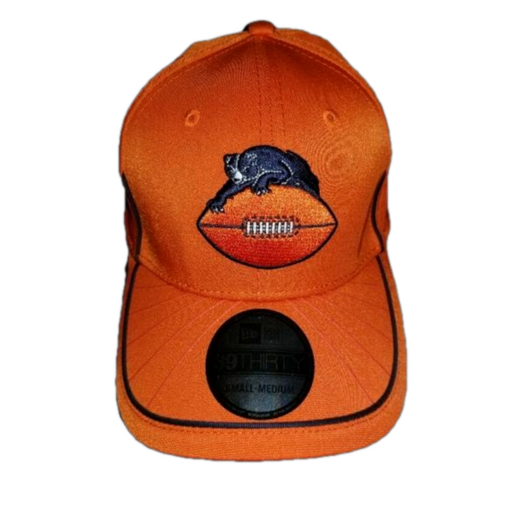 Chicago Bears NFL Fitted Cap Embroidered Logo Front And Back Adult S/M
